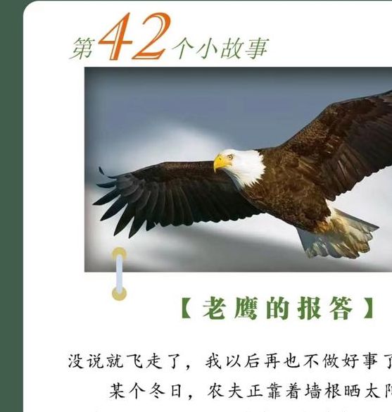 梦见猎鹰意味着哪些？揭示背后深层心理和象征解析