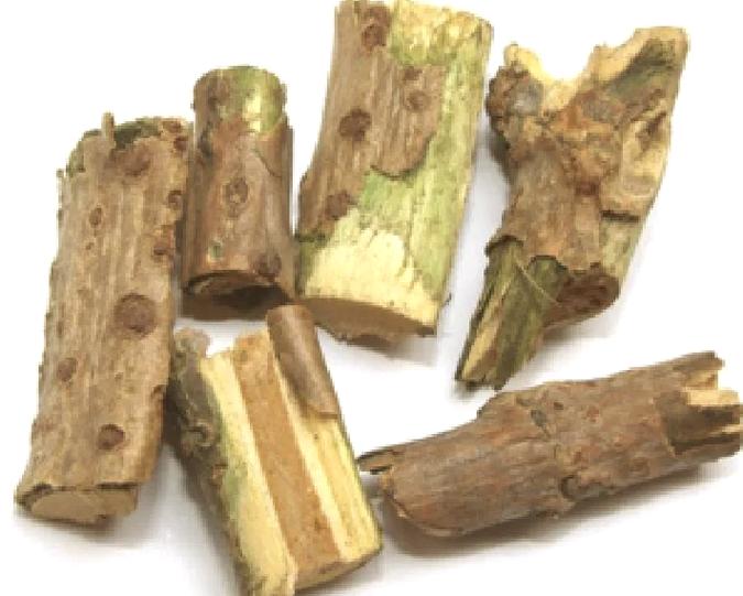 揭示梦见接骨木背后隐藏的心理暗示与能量传递 揭示梦见接骨木背后隐藏的心理暗示与能量传递