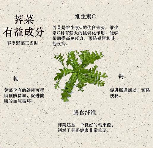 揭秘梦见荠菜的真相专家解析5大影响因素与健康启示 揭秘梦见荠菜的真相专家解析5大影响因素与健康启示