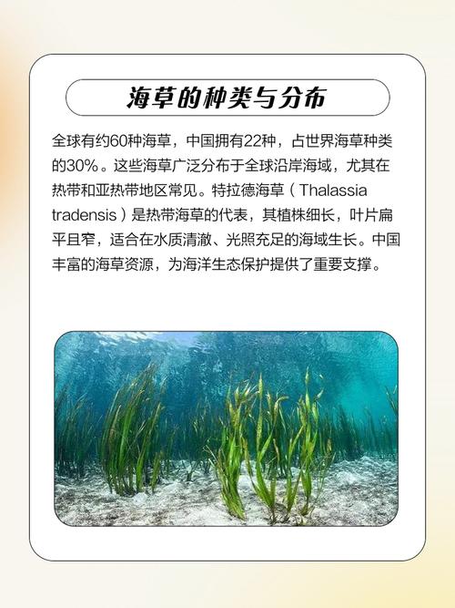 梦见海草代表哪些?解读海中植物的神秘象征意义 梦见海草代表哪些?解读海中植物的神秘象征意义