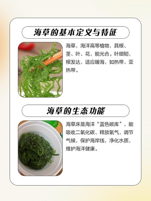 梦见海草代表哪些?解读海中植物的神秘象征意义 梦见海草代表哪些?解读海中植物的神秘象征意义