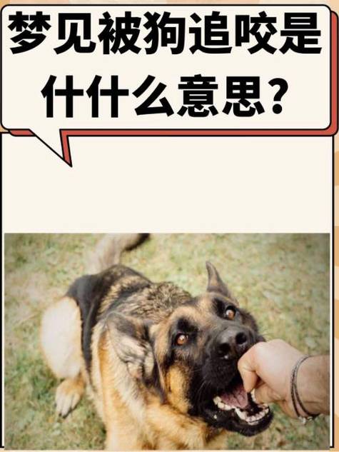 梦见马嚼子象征深层内在纠结，探索潜意识揭示个人发展新机遇！