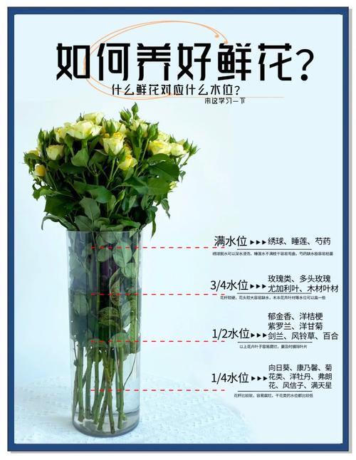 梦见塑料花的寓意解析揭示潜意识与心理状态 梦见塑料花的寓意解析揭示潜意识与心理状态