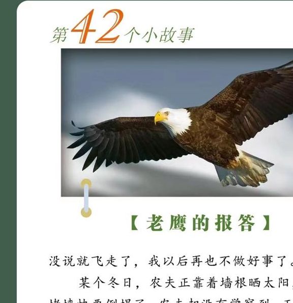 解析梦见苍鹰的启示高效解决方案和潜在意义分析 解析梦见苍鹰的启示高效解决方案和潜在意义分析