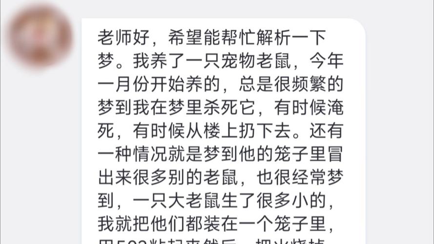 梦见死耗子象征意义解析5大心理影响与应对技巧 梦见死耗子象征意义解析5大心理影响与应对技巧