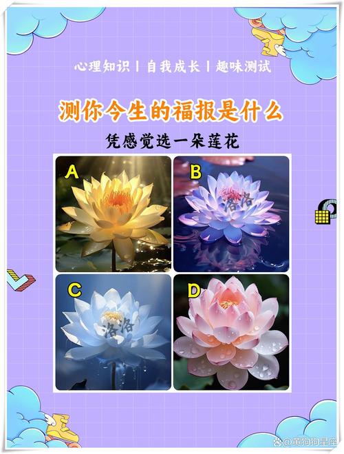 7种梦见荷包象征意义揭示，助你解读内心秘密