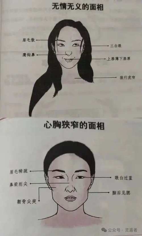 梦见额头的深层解析心理暗示与生活影响揭密 梦见额头的深层解析心理暗示与生活影响揭密