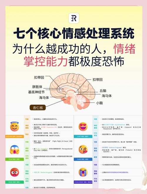 梦见双手抱头的心理解析揭开情绪背后的秘密 梦见双手抱头的心理解析揭开情绪背后的秘密