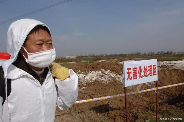 如何通过杨庄畜牧兽医工作站加强病死畜禽排查，推动沂水县畜牧业健康发展？