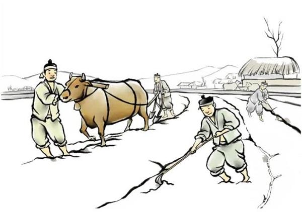 揭秘梦见耕田种地的5大心理寓意【专家解读】
