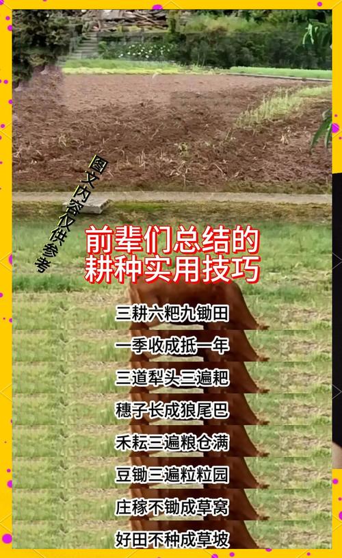 揭秘梦见耕田种地的5大心理寓意【专家解读】