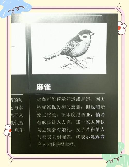 解梦指南梦见麻雀的象征意义与心理分析