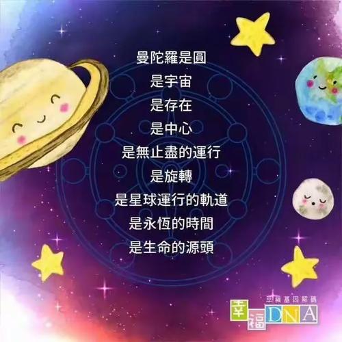 梦见节日广场解读心灵暗示与生活启示