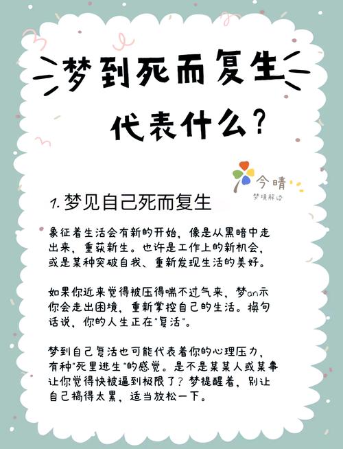 梦见选墓地的深意与高效解决方案解析