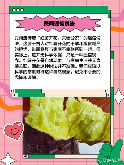 解梦分析为何梦见山芋象征财运或健康?揭秘背后玄妙含义 解梦分析为何梦见山芋象征财运或健康?揭秘背后玄妙含义