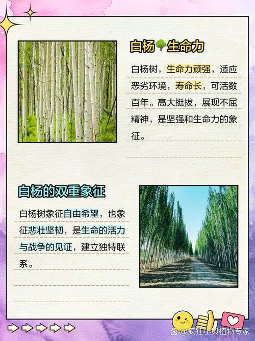 梦见白杨象征哪些?解读高效解决方案提升生活质量 梦见白杨象征哪些?解读高效解决方案提升生活质量
