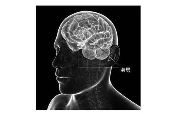 游戏真的能提高智力？脑科学与心理学的新发现告诉你答案！