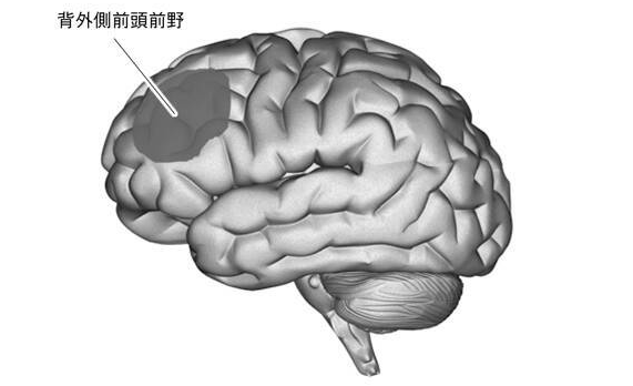 游戏真的能提高智力？脑科学与心理学的新发现告诉你答案！