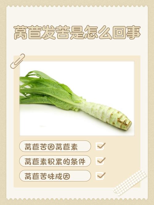 梦见莴苣解密揭示心理暗示与健康益处的深度解析