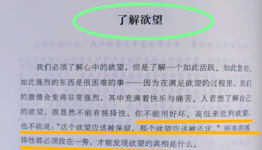 梦见荒野寓意解析揭示内心宁静与探索欲望的深层次情感体验