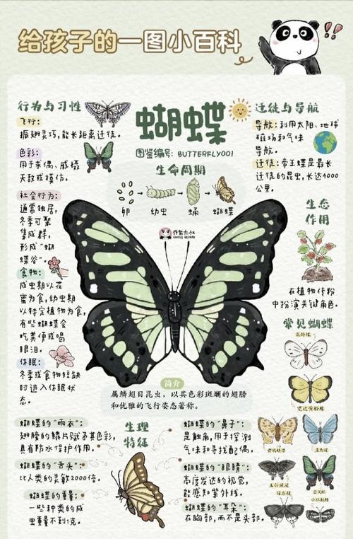 梦见断翼蝴蝶预示着哪些深层寓意？解密梦境长尾关键词分析