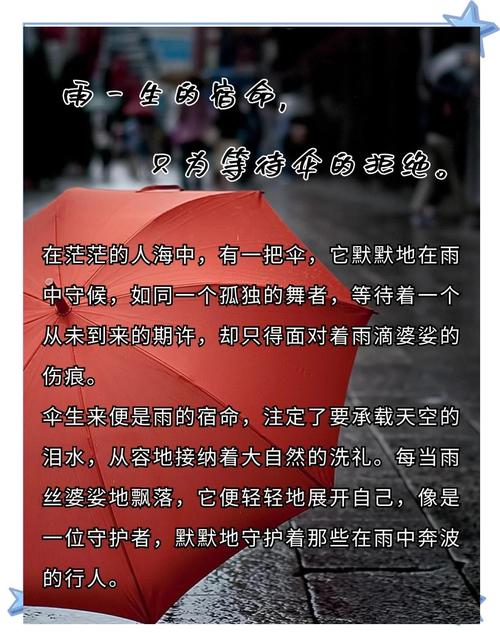 梦见阳伞象征意义深度解析探究心理暗示与生活启示