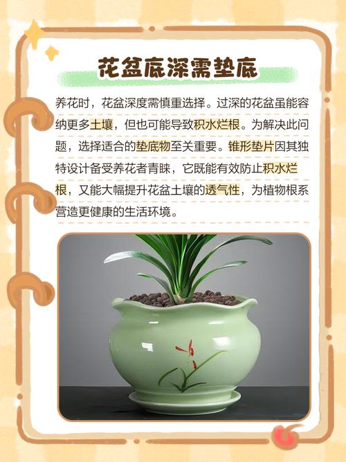 梦见花盆预示哪些?7大心理解读助你洞悉内心奥秘! 梦见花盆预示哪些?7大心理解读助你洞悉内心奥秘!