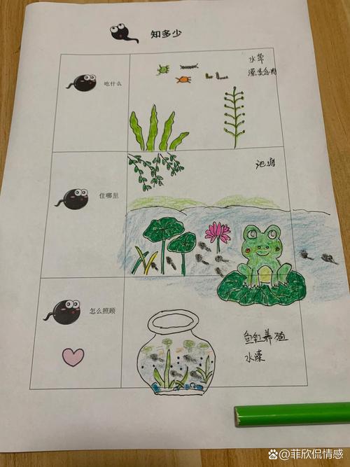 梦见蝌蚪的含义解析5个不容忽视的象征意义分析 梦见蝌蚪的含义解析5个不容忽视的象征意义分析