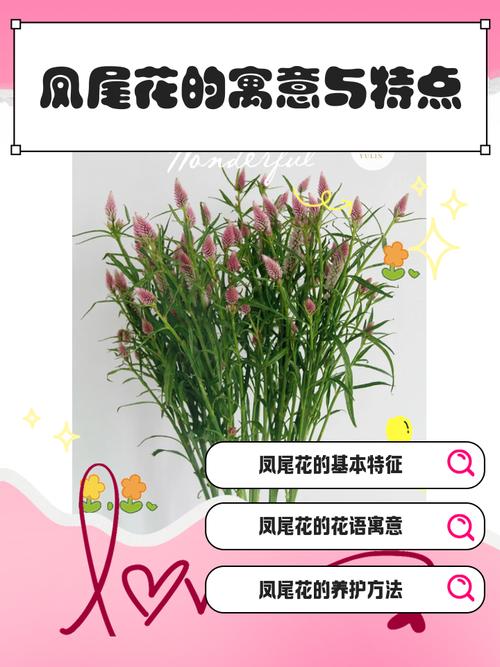 梦见假花寓意是哪些？揭示隐藏心理长尾关键词