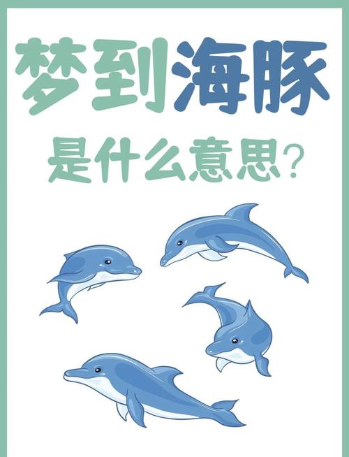 梦见海豚象征意义及5种积极影响分析