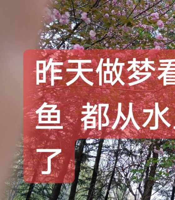 梦见鲈鱼的含义深度解析心理暗示 vs 现实预兆 梦见鲈鱼的含义深度解析心理暗示 vs 现实预兆