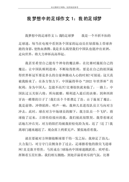 梦见足球解析竞技梦想与人生目标的对比分析