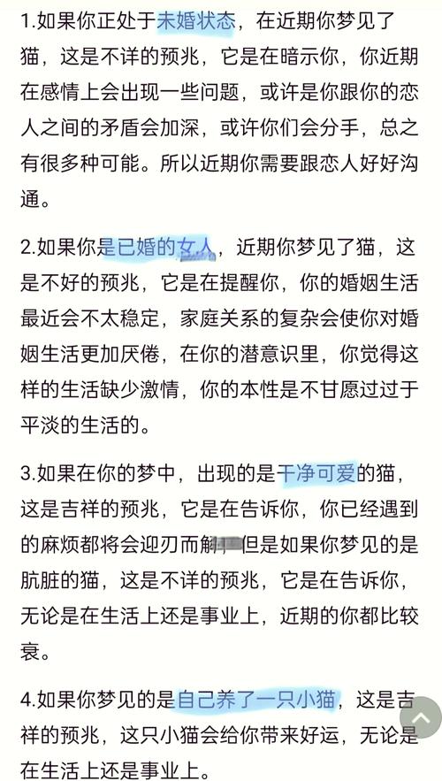 揭秘梦见一群猫追我的5大心理解析与权威解答 揭秘梦见一群猫追我的5大心理解析与权威解答