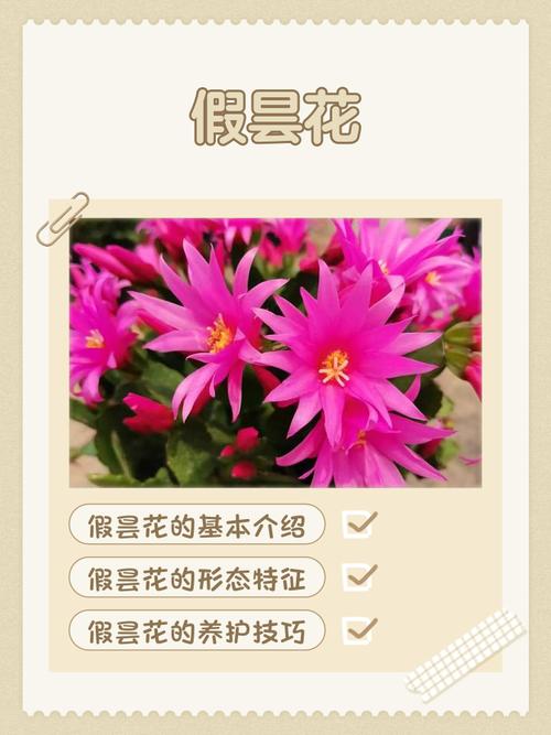 梦见假花的真正寓意揭示心理暗示与生活预兆大揭秘！