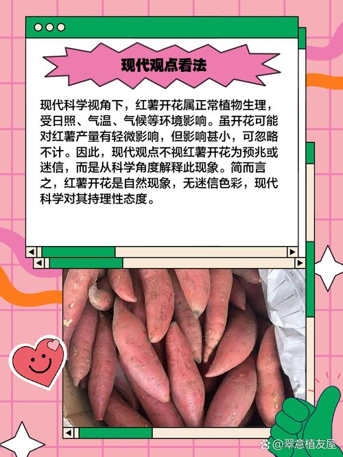 梦见红薯的5种解读及其带来的积极影响