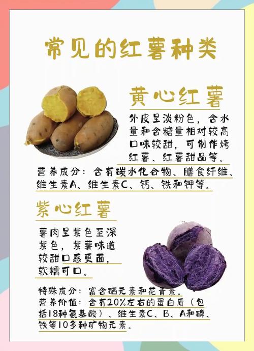 梦见红薯的5种解读及其带来的积极影响