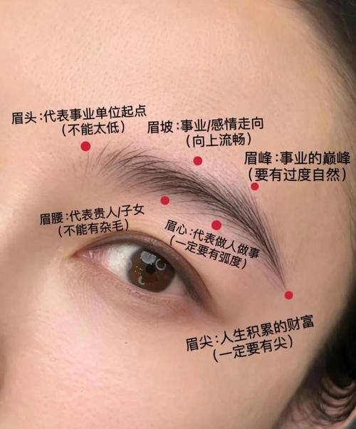 梦见眉毛的预示: 揭开隐藏在梦境中的幸运密码