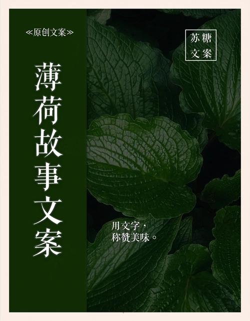 梦见薄荷寓意探秘清新启迪的内心旅程，用户分享独特感受！