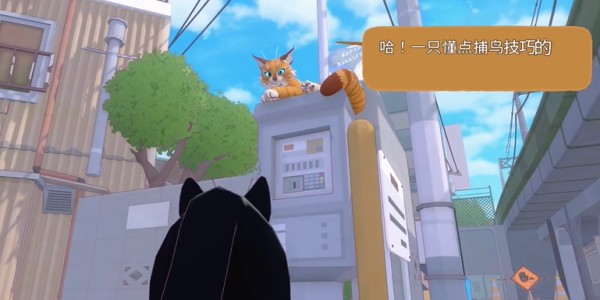 掌握小猫咪大城市懒腰动作技巧，秒获稀有奖励！
