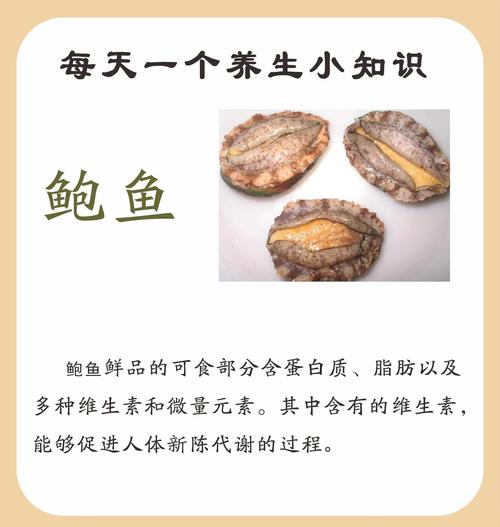 梦见鲍鱼的象征意义内心渴望与成功的高效解决方案