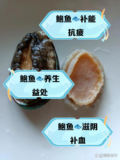 梦见鲍鱼的象征意义内心渴望与成功的高效解决方案