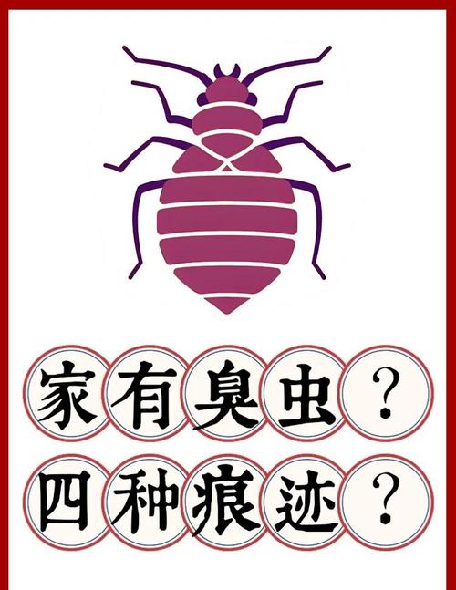 梦见臭虫的深刻寓意，专家分析揭示内心焦虑的缘由！