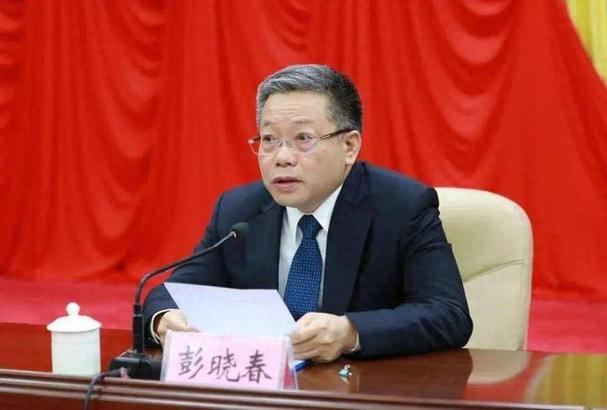 彭晓春副部级落马：2025年6月16日反腐打虎行动揭示核心动因
