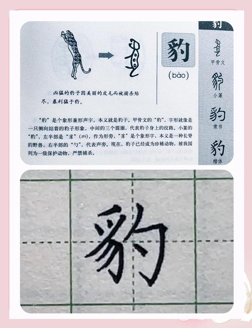 揭示梦境中的骆驼豹豸深入解读及吉凶预测，用户探索神秘梦境的无限可能！
