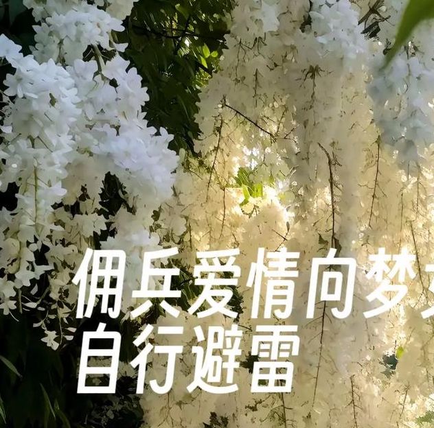 揭秘梦见女墙象征意义，让你的生活更幸福
