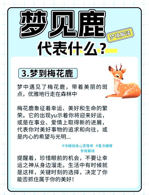 梦见牡鹿的深层寓意8个解读助你揭示潜在机遇