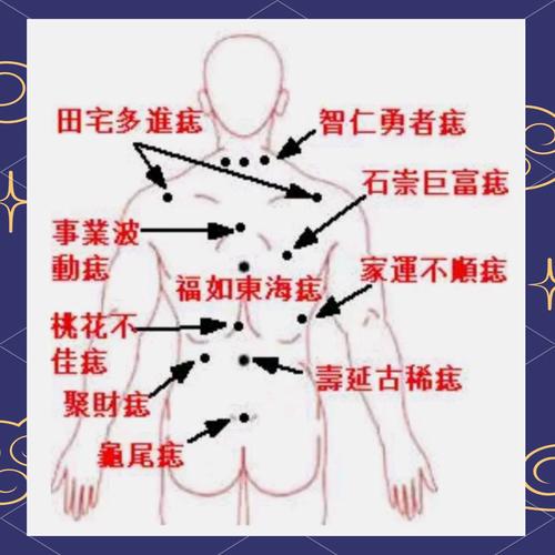 梦见背部解析10个不可忽视的心理暗示与专家建议
