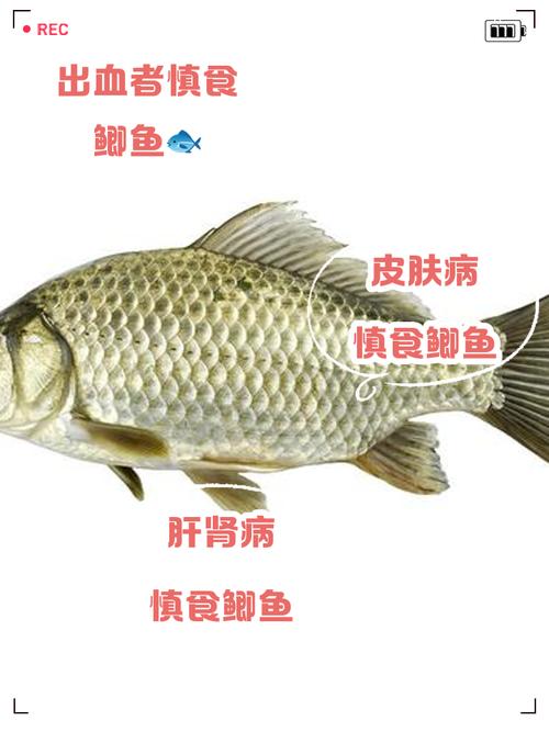 揭秘梦见鲫鱼的8大心理暗示与专家建议