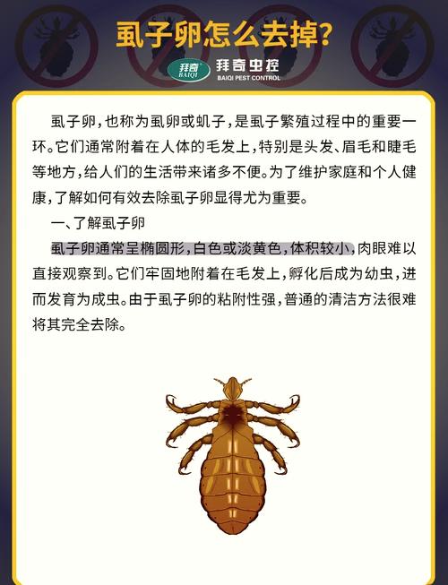 梦见身体有虱子？深入解析心理暗示及应对策略