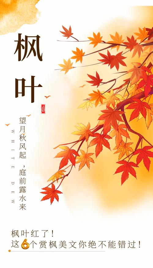 梦见树叶红了象征哪些？解读秋季梦境背后的心理暗示